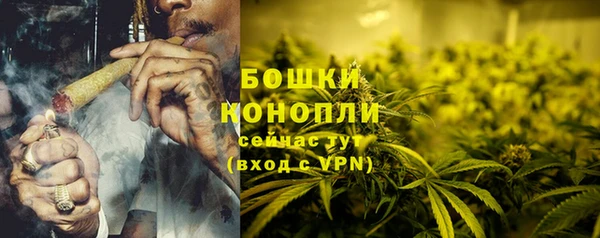 индика Белокуриха