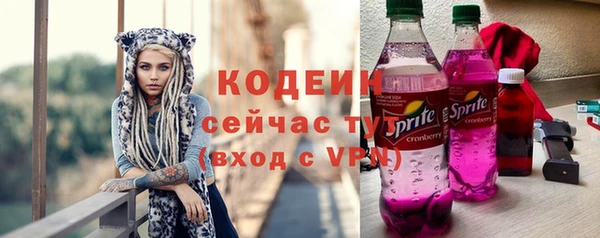 индика Белокуриха