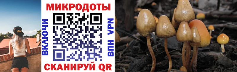 Галлюциногенные грибы Cubensis где купить наркотик Няндома