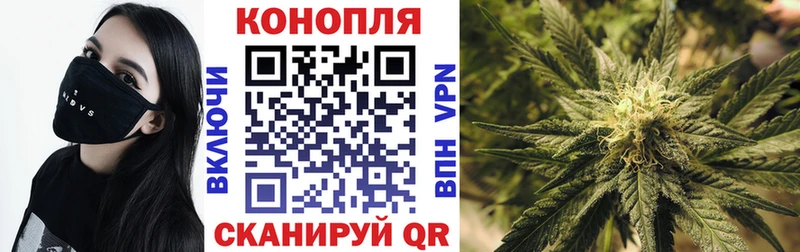 МАРИХУАНА SATIVA & INDICA  наркота  Няндома 